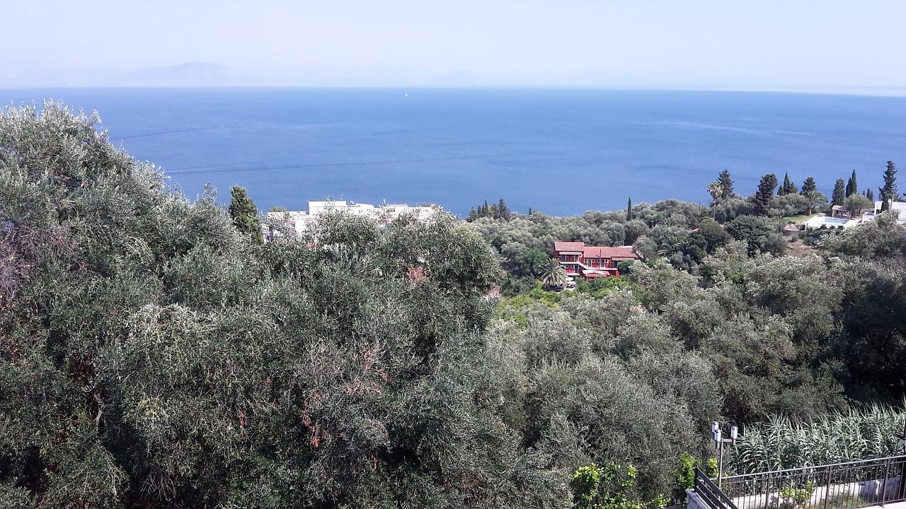 Achillion Luxury Corfu Villa & Suites Perama  Eksteriør bilde